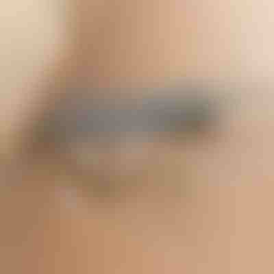 Teleskopski čistač prašine | ARTICLEAN