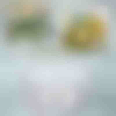 Kuhinjski rotirajući organizator | SPINSTATION