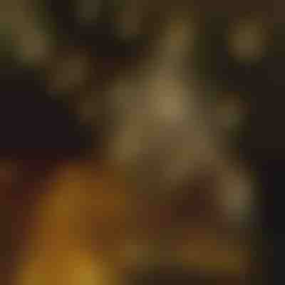 LED lampice u obliku zvijezde (6 m) | STARYGLOW