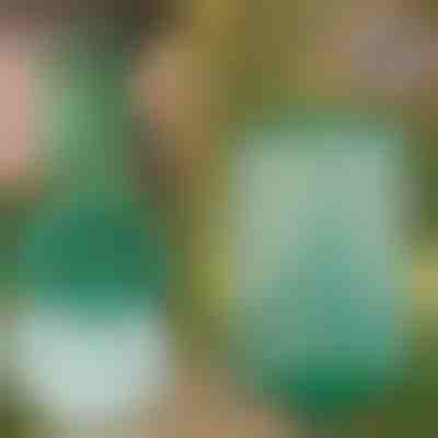 Višekratna viseća zamka za muhe za vrt, terasu i balkon | INSECTA