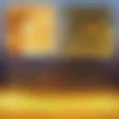 Praznična LED svjetlosna mreža | LUMONET