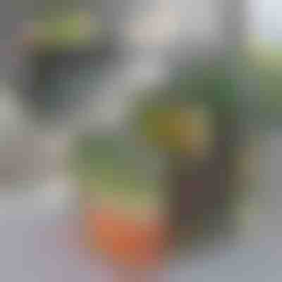 Organizator za hladnjak | FRESHDISH