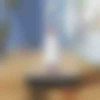 Prijenosni čistač s upijajućom spužvom | HANDYMOP