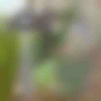 Vrtna motika za jednostavno uklanjanje korova | GRASSOE