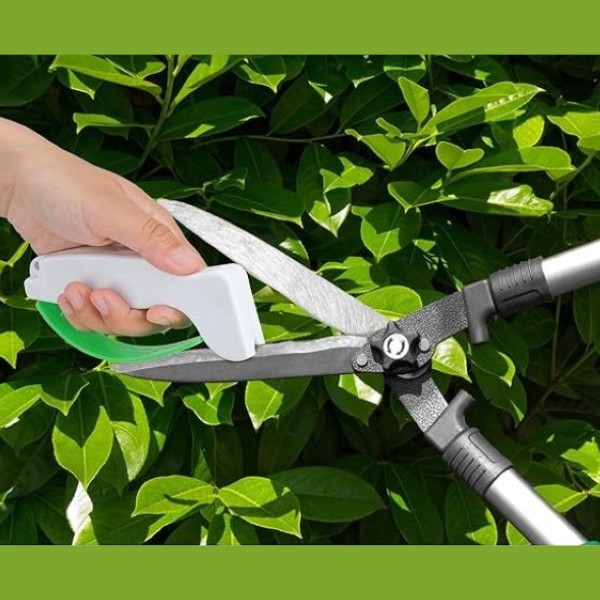 MASTERSHARP16000__62894c6d