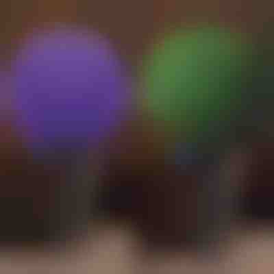 Dekorativna biljna kugla | TOPIORB