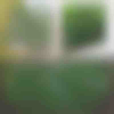 Dekorativna i praktična ograda za terasu i vrt | GREENFENCE