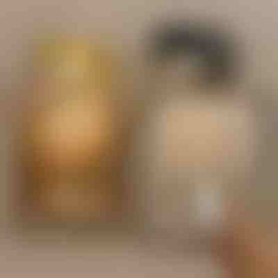 Magnetna svjetiljka za slike – bežična LED, RGB + topla bijela | ARTIONIC