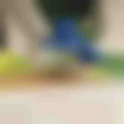 Električni uređaj za guljenje voća i povrća | PEELMATIC